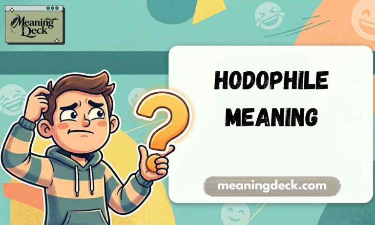 Hodophile Meaning Feature Image