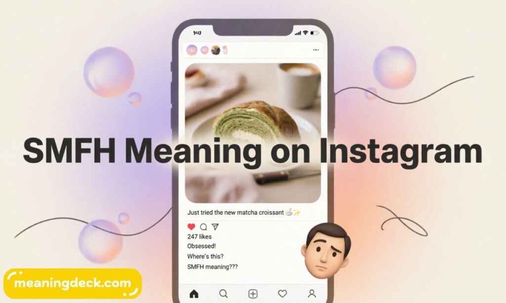 SMFH Meaning on Instagram