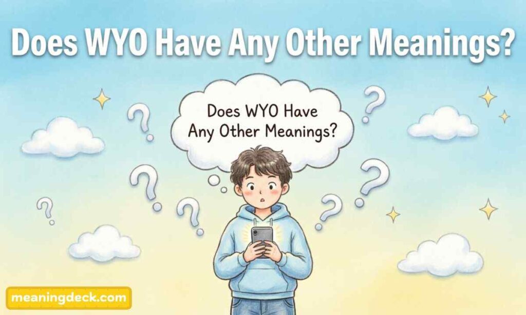 Does WYO Have Any Other Meanings?