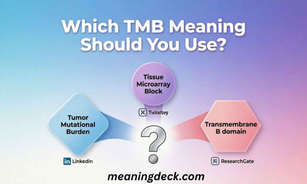 Which TMB Meaning Should You Use