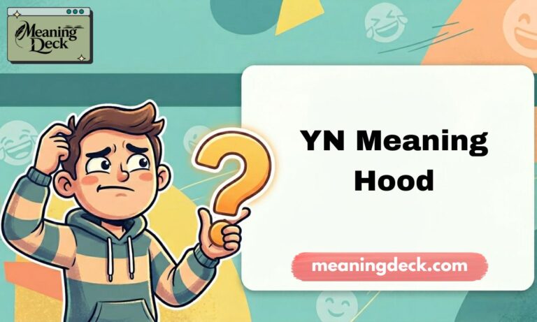 YN Meaning Hood Feature Image